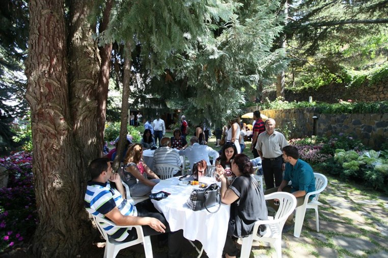 Media Day at Doctor Nizar Younes Ranch